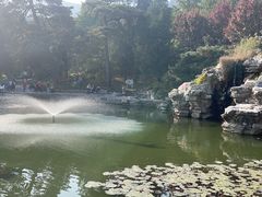 -香山公园