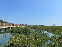 -北海金海湾红树林生态旅游区