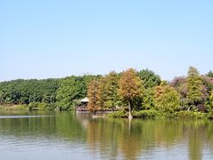 -海珠湖公园