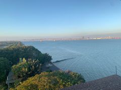 -大湾区中央湿地公园