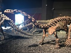 -世界恐龙谷景区