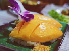-Jungle Kitchen