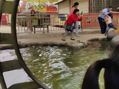 -南昌之星游乐场