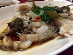 -天宁凯利时尚餐厅