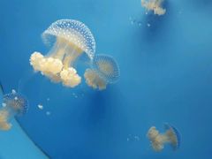 -常州海昌海洋探索馆