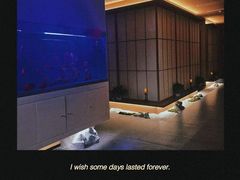 -宫七SPA·高端Massage(浦东大道店)