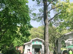 -WeLope紫金山探险公园
