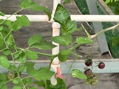 -兴芮温泉度假区