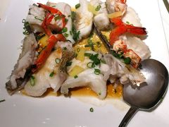 鲜虾清蒸开刀龙趸-东海海鲜酒家(中信广场店)