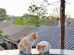-前叁門