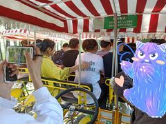 -合肥滨湖国家森林公园