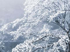 -萍乡武功山风景名胜区