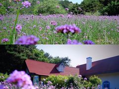 -云峰山自然风景区