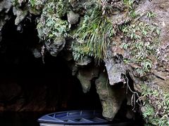 -怀托摩萤火虫洞