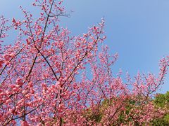 -月湖风景区