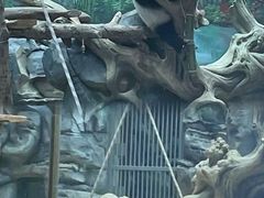-武汉动物园