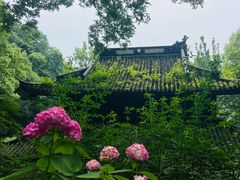 -虎跑公园