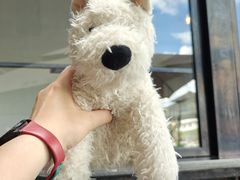 -Torch Coffee 炬点咖啡