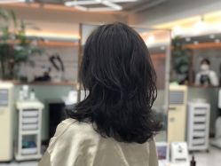-秦·专注剪发