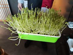 -番食园鲜食火锅(高新店)