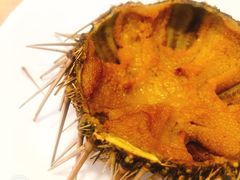 -海胆小馆(东北水饺·春柳店)