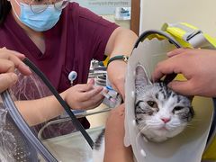 -美联众合动物医院·24h京西诊疗中心