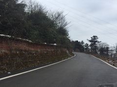 -武陵山森林公园