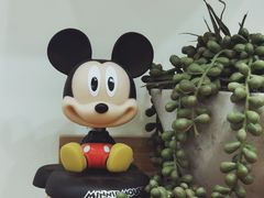 -蛋糕生活Cake Life