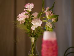 -Tomacado花厨(One ITC店)