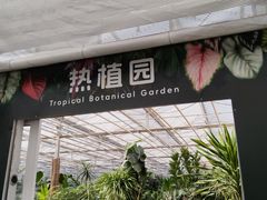 -上海鲜花港