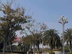 -宝安西湾红树林湿地公园