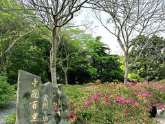 -上海滨江森林公园