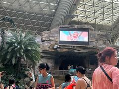 -杭州开元森泊度假乐园