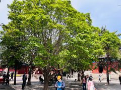 -大钟寺古钟博物馆
