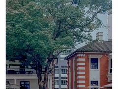 -大馆(前中区警署建築群)