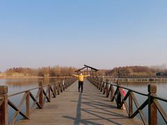 -溱湖国家湿地公园