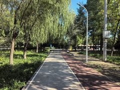 -绿堤公园