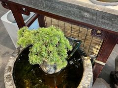 -阜昌典当行(阜成门店)