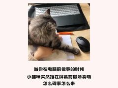 -爱侣宠医·鹦鹉专科·小型哺乳类·异宠专科(灵石路店)