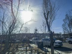 -鄂尔多斯野生动物园