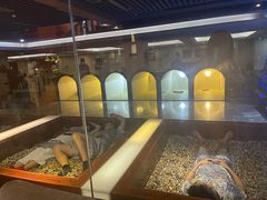 -海韵之星邮轮水会(明发商业广场店)