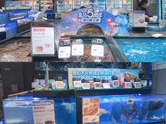 水产区-盒马鲜生(皇庭广场店)