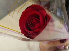 -万达广场(泰安泰山店)