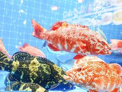 -叶氏大快活酒楼·佛山老字号