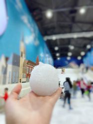 -Mr·Kuma酷么先生雪之乐园