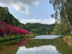 -深圳仙湖植物园