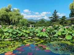 -国家植物园南园