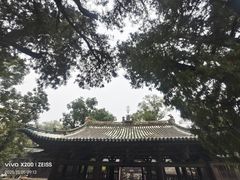 -晋祠公园