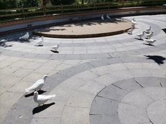 -南宫五洲植物乐园