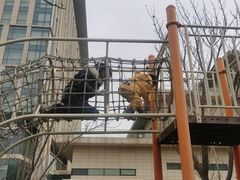 -廊坊固安福朋喜来登酒店